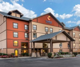 Comfort Inn & Suites Branson Meadows