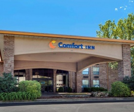 Comfort Inn at Thousand Hills