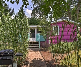 Middle Bass Cabin with Grill and Lagoon Access!