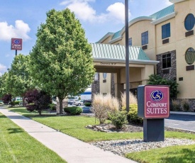 Comfort Suites Perrysburg