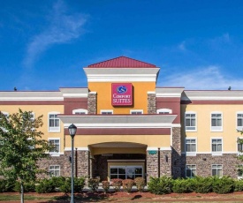 Comfort Suites Troy