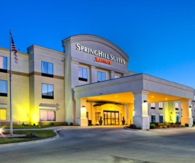 SpringHill Suites by Marriott Ardmore