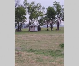 Tiny Cabin at the DonkeyRanch