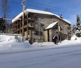 Skiers paradise! Close to slopes + heated pool!