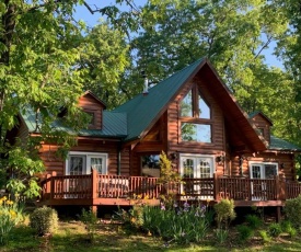 Beautiful Pet Friendly Branson Bear Cabin- private hot tub!