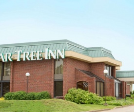 Pear Tree Inn Rolla