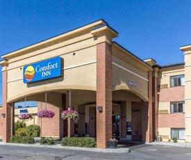 Comfort Inn Butte City Center I-15 / I-90