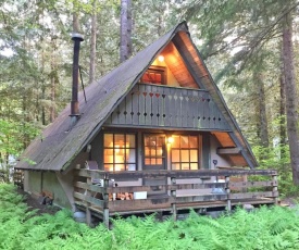 Holiday Home 86SL Rustic Cabin near Mt- Baker