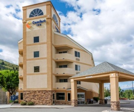 Comfort Inn University