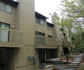 Affordable Condo in Waterville Valley Family Friendly Resort!