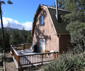 Mama Bear's Den, 2 Bedrooms, Sleeps 6, Wood Stove, Gas Grill, WiFi