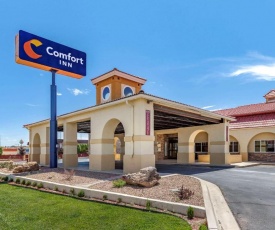 Comfort Inn City of Natural Lakes