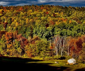 Tentrr Signature - Fenimore Slope