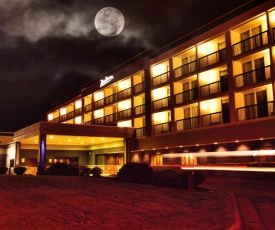 Radisson Hotel Niagara Falls-Grand Island