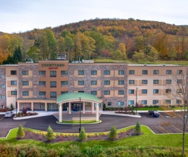 Courtyard by Marriott Oneonta