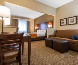 Comfort Suites Rochester