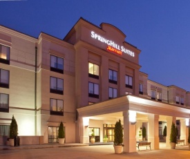 SpringHill Suites by Marriott Tarrytown Westchester County