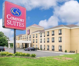 Comfort Suites Vestal near University