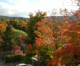 Townhouse W Private Deck & Mt View